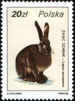 (1986-011) Марка Польша "Заяц-русак"    Охотничья дикая природа III Θ