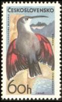 (1965-068) Марка Чехословакия "Стенолаз"    Горные птицы III Θ