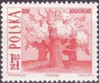 (1966-060) Марка Польша "Старые дубы"   Туризм I Θ