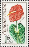 1973-033 Марка Чехословакия Антуриум   Выставка цветов III Θ