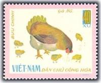 (1968-007) Марка Вьетнам "Курица с цыплятами"   Домашние птицы I Θ