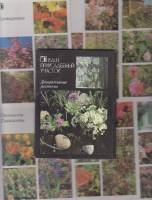 Набор открыток "Декоративные растения", 18 шт. 1987 г.