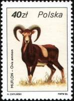 (1986-012) Марка Польша "Архар"    Охотничья дикая природа III Θ