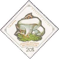 (1964-004) Марка Монголия "Подгруздок"    Грибы III Θ