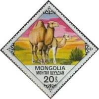 (1978-060) Марка Монголия "Самка с верблюжонком"    Верблюды III Θ