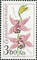 1973-036 Марка Чехословакия Цимбидиум   Выставка цветов III Θ