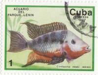 (1977-014) Марка Куба "Цихлазома Меека"    Аквариум парка Ленина III O