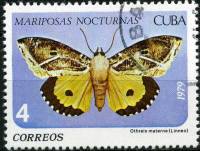 (1979-036) Марка Куба "Точечная подкрыльевая моль"    Бабочки III Θ