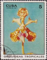 (1971-039) Марка Куба "Ванда трехцветная"    Орхидеи III Θ