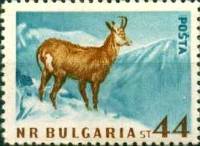 (1958-014) Марка Болгария "Серна" Перф лин 11   Дикие животные Болгарии III O