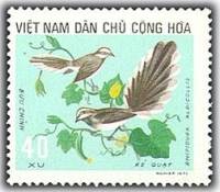 (1973-023) Марка Вьетнам "Белогорлый веер"   Птицы III Θ