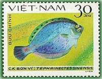 (1982-077a) Марка Вьетнам "Тефринекты"  Без перфорации  Камбала III Θ