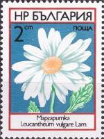 (1973-026) Марка Болгария "Нивяник обыкновенный"    Полевые цветы III Θ