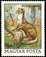 (1979-068) Марка Венгрия "Каменная куница"    Охраняемые животные II Θ