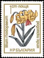 (1972-063) Марка Болгария "Лилия тюркская шапка"   Цветы под охраной I Θ