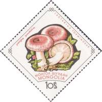 (1964-002) Марка Монголия "Мухомор"    Грибы III Θ
