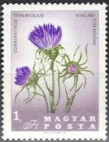 (1967-003) Марка Венгрия "Эдрайант"    Цветы Карпатского бассейна. 150 лет со дня смерти Пауля Китай