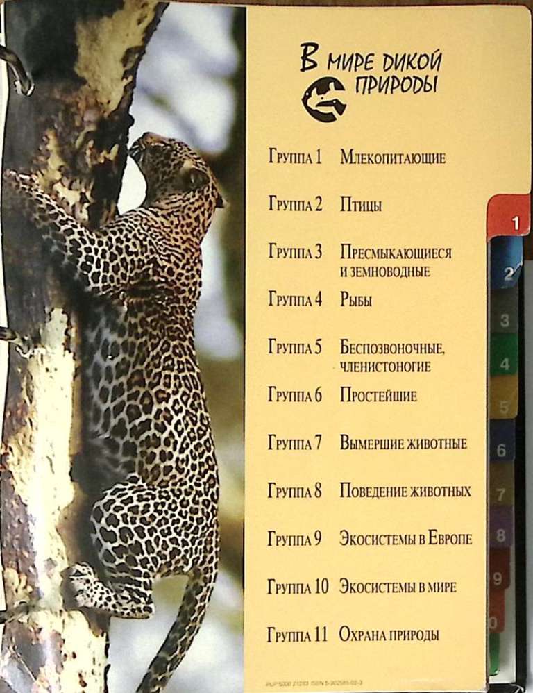 Папка - альбом энциклопедия В мире дикой природы 