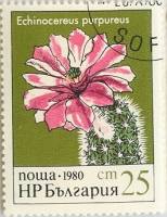 (1980-094) Марка Болгария "Эхиноцереус"   Кактусы III Θ