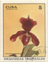 (1972-013) Марка Куба "Венерин башмачок"    Орхидеи III Θ