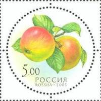 2003-068 Марка Россия Яблоки  Дары природы III O