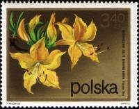 (1972-078) Марка Польша "Рододендрон"    Кустарниковые Цветы II Θ