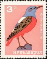 (1965-023) Марка Болгария "Дрозд"   Певчие птицы II O