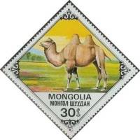 (1978-061) Марка Монголия "Молодой верблюд"    Верблюды III Θ