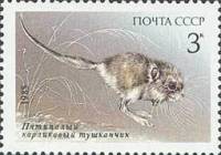 1985-071 Марка СССР Тушканчик  Красная книга СССР III Θ