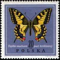 (1967-058) Марка Польша "Махаон"   Бабочки II Θ