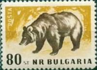(1958-015) Марка Болгария "Бурый медведь" Перф лин 11   Дикие животные Болгарии III O
