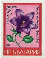(1977-009) Марка Болгария "Колокольчик"   Горные цветы III Θ
