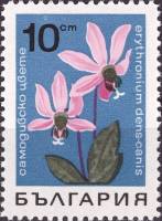 (1968-017) Марка Болгария "Кандык Кавказский"   Горные цветы II Θ
