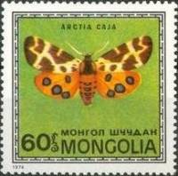 (1974-007) Марка Монголия "Медведица-кайя"    Насекомые Монголии: бабочки III Θ