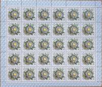 1981-048  Лист (36 м 6х6) СССР Колючник бесстебельный  Цветы украинских Карпат III O