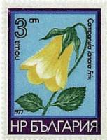 (1977-010) Марка Болгария "Колокольчик крошечный"   Горные цветы III O