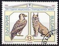 (1989-078) Марка Болгария "Гриф и рысь"   Музей естественных наук, 100 лет I O