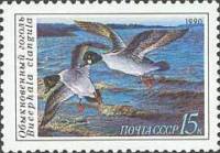 1990-058 Марка СССР Обыкновенный гоголь  Утки III Θ
