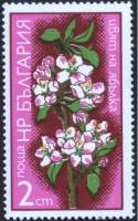 (1975-002) Марка Болгария "Яблоня"    Цветы фруктовых деревьев I Θ