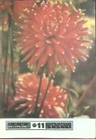 Журнал Юный натуралист 1977 № 11 Москва Мягкая обл. 48 с. С цв илл