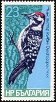 (1978-062) Марка Болгария "Малый пёстрый дятел"   Дятлы III O