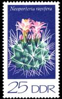 (1974-020) Марка Германия (ГДР) "Неопортерия Рапифера"    Кактусы III O