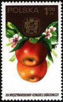 (1974-040) Марка Польша "Яблоки"    19 Международный садоводческий конгресс III Θ