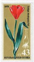 (1978-045) Марка Болгария "Тюльпан прибрежный"   Редкие цветы II Θ