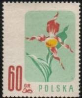 (1957-031) Марка Польша "Башмачок настоящий"   Цветы III Θ