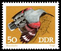 (1973-027) Марка Германия (ГДР) "Стенолаз"    Птицы III Θ