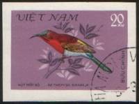 (1981-027a) Марка Вьетнам "Желтоспинная острохвостая нектарница"  Без перфорации  Птицы III Θ