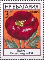 (1973-027) Марка Болгария "Пион"    Полевые цветы II Θ