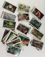 Наклейки Стикермания Карусель 356 штук животные растения и др.