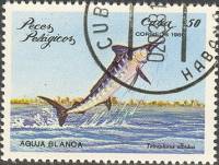 (1981-013) Марка Куба "Белый марлин"    Морские рыбы III Θ